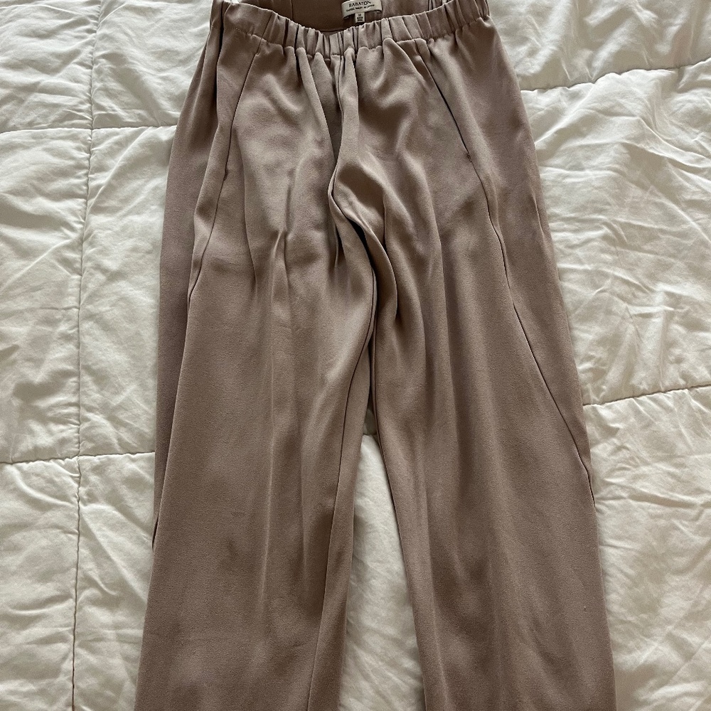 Aritzia dexter pant